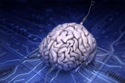cerebro computador
