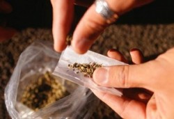 usuario de drogas