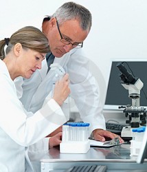 cientistas Cientistas descobrem superantibiótico em sangue de pandas