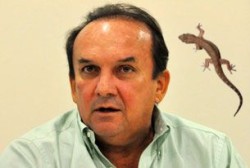 nelter lagartixa