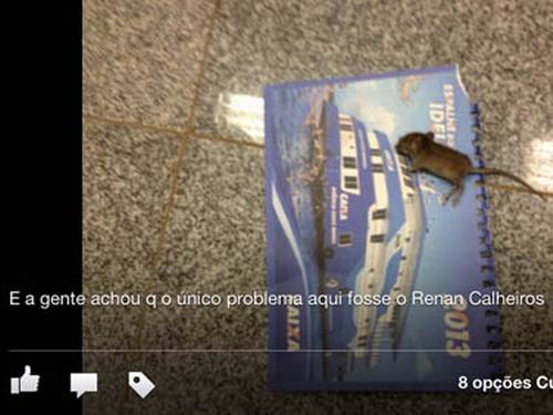 rato senado