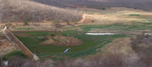 310030_281913858602234_2128163150_n