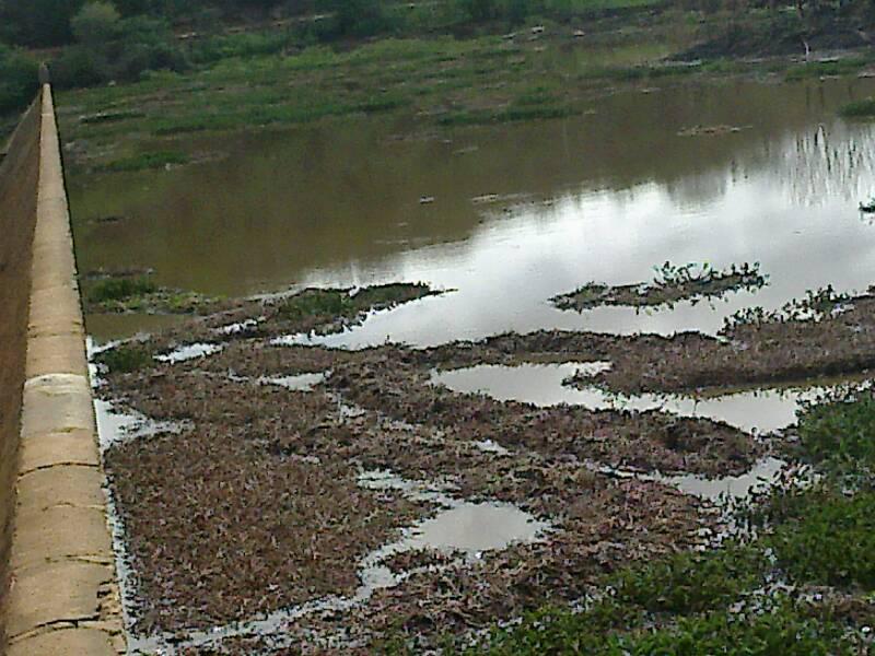 547257_302310093234718_425647005_n