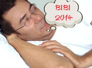 bibi 2014 2