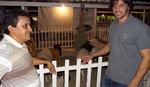 fabio caprifeira