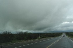 chuva TN