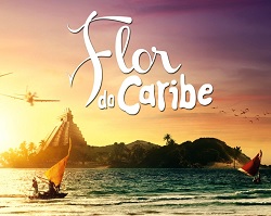 flor do caribe