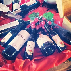 vinho