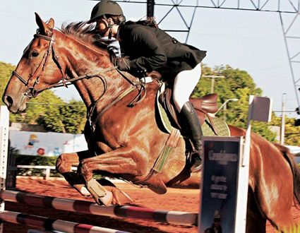 hipismo