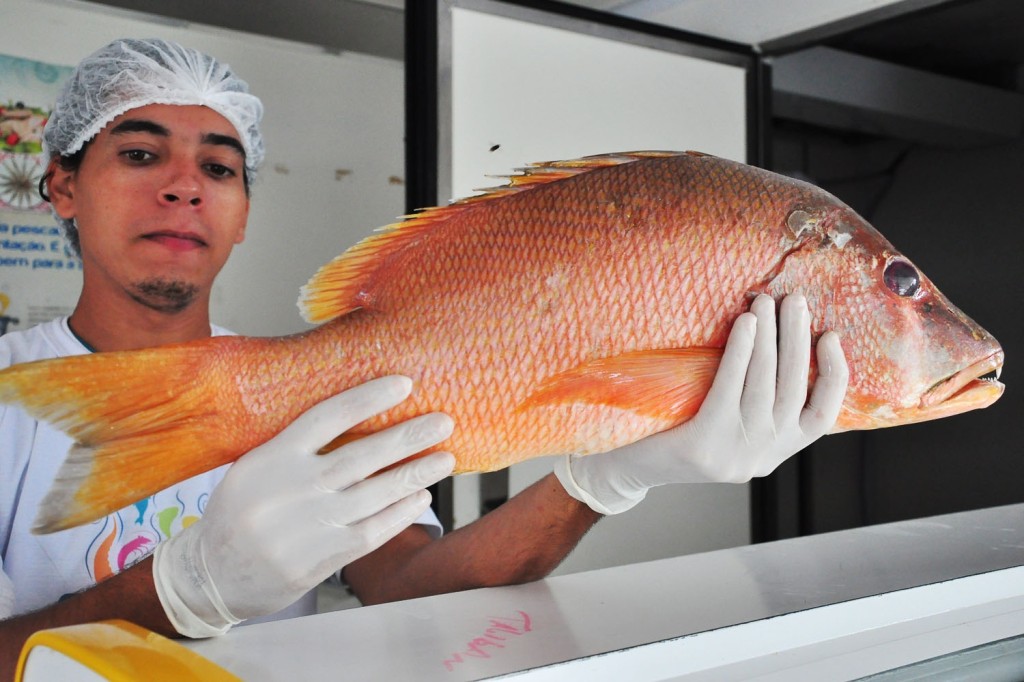 peixe bacana um