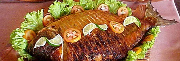 peixe bacana