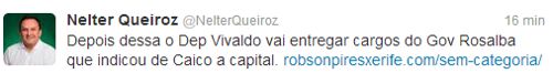 nelter twiter