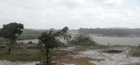chuva timbauba
