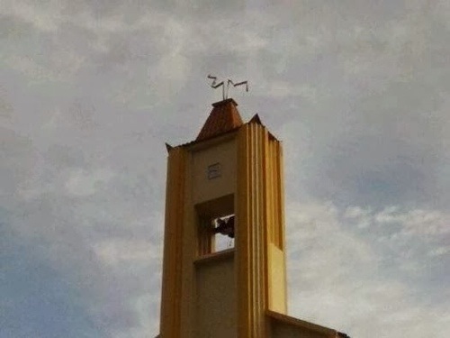20140313-072019.jpg