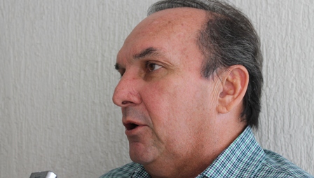 nelter politica