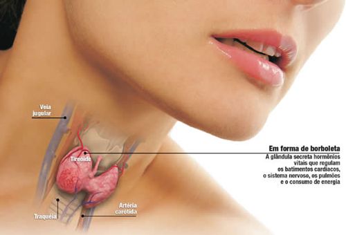 tireoide 1