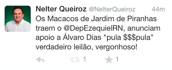 nelter twitter