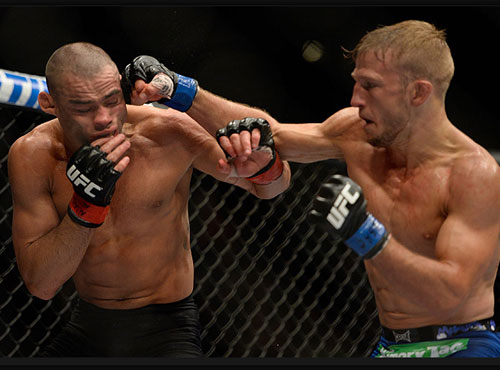 renanbarao290814.jpeg image