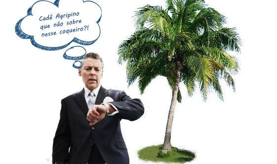 agripino coqueiro 2