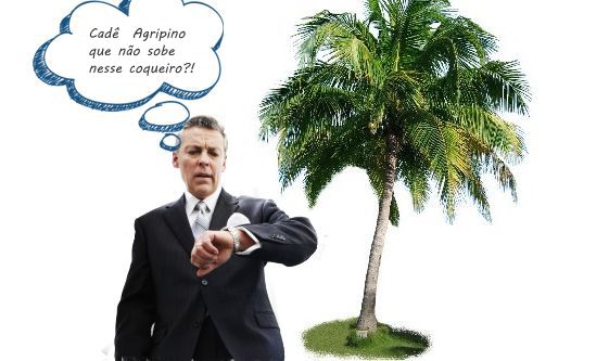 agripino coqueiro 2