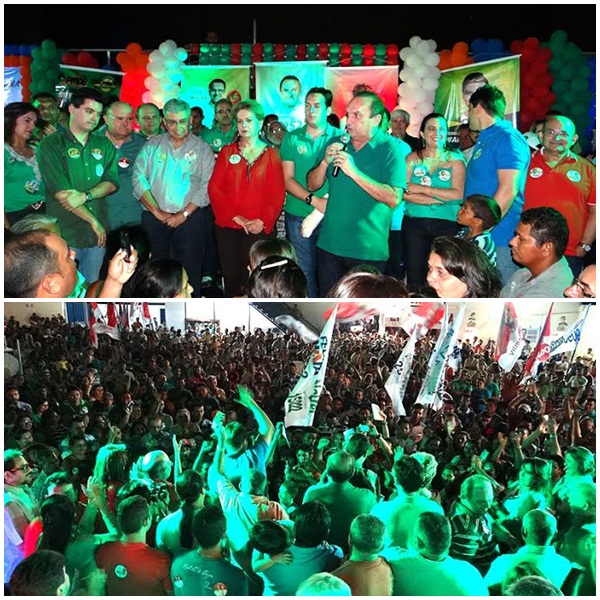 nelter aliados
