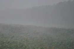 1415822806379