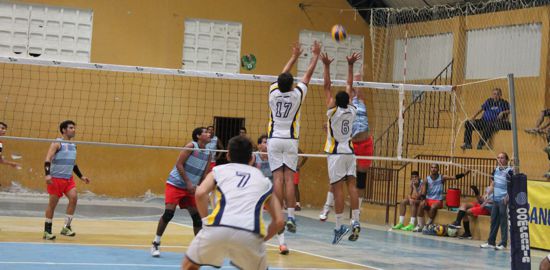 volei amostra