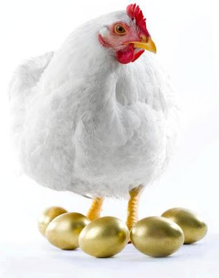 20121113galinha-dos-ovos-de-ouro