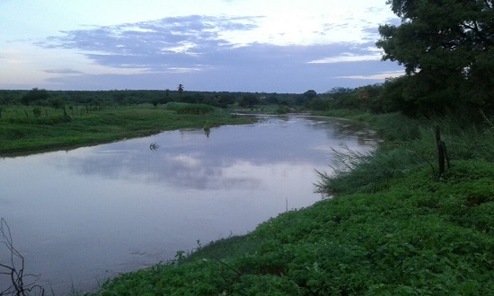 barra1