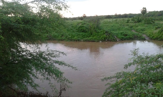 barra2