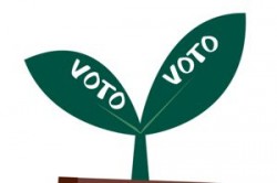 voto_folha