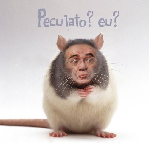 peculato