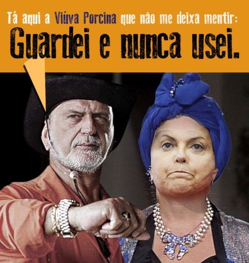 viuva porcina