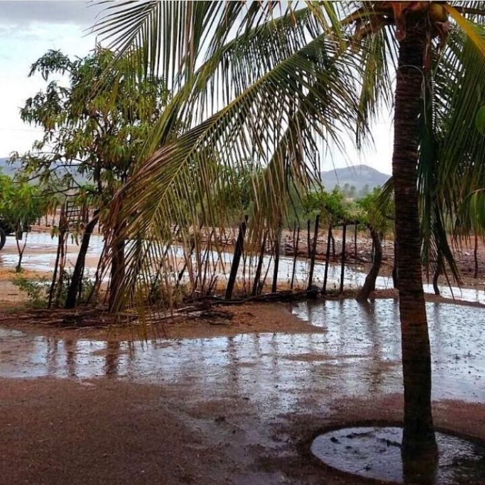 WhatsApp Image 2017-01-27 at 17.42.49