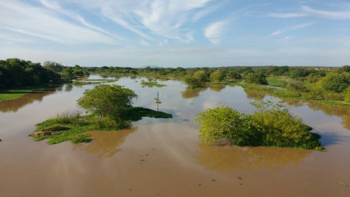 WhatsApp Image 2017-02-22 at 07.39.06 (1)