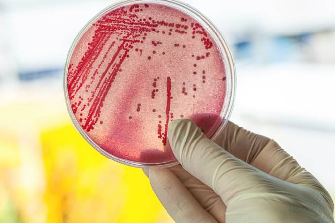 alx_disco_com_bacterias_original2