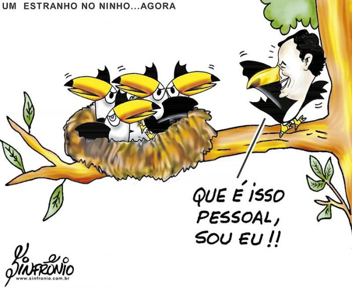 no ninho