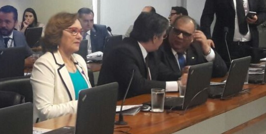 zenaide são francisco