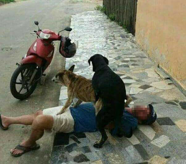 .. de bebo não tem dono!