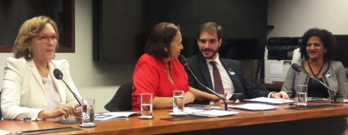 Zenaide Maia defende regulamentação da Lei para artesãs
