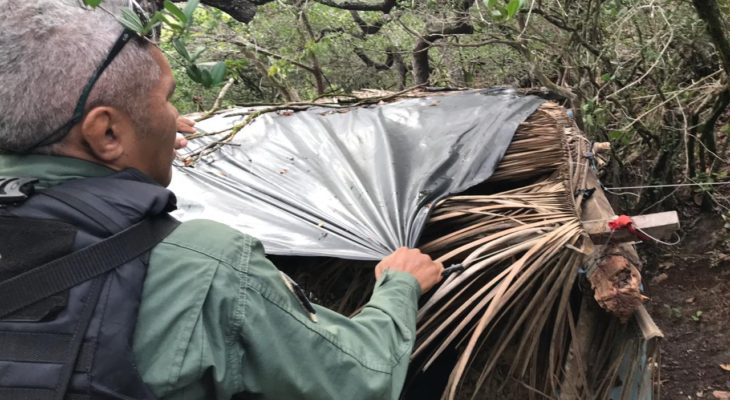 PolÃcia descobre acampamento de suspeitos de tráfico e roubos
