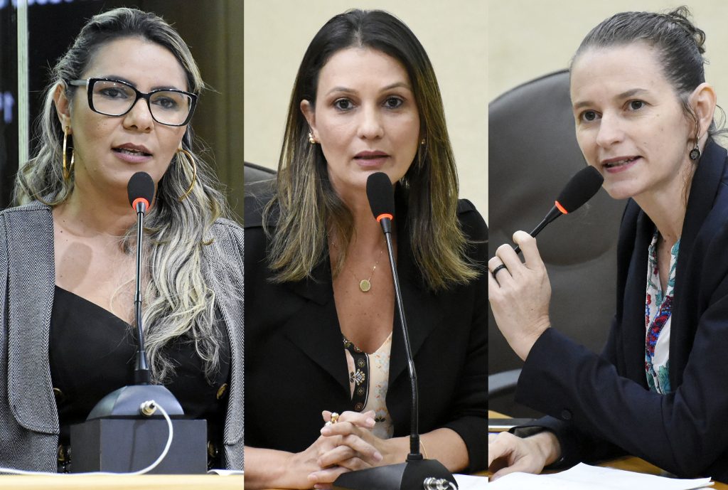 Defesa dos direitos da mulher é bandeira da bancada feminina na Assembleia