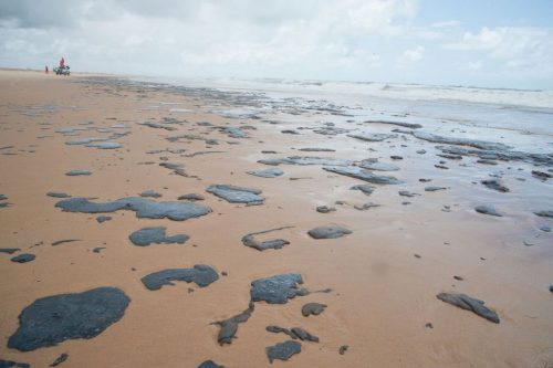Óleo: cientistas discutem ações a serem tomadas