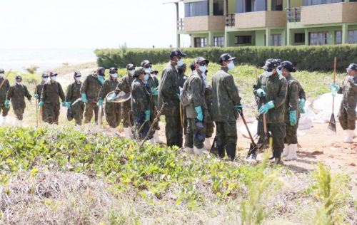 Governo do RN e Comissão do Senado debatem crime ambiental no litoral potiguar